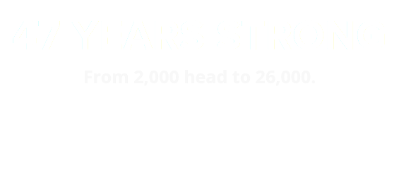47 YEARS STRONG
From 2,000 head to 26,000. 